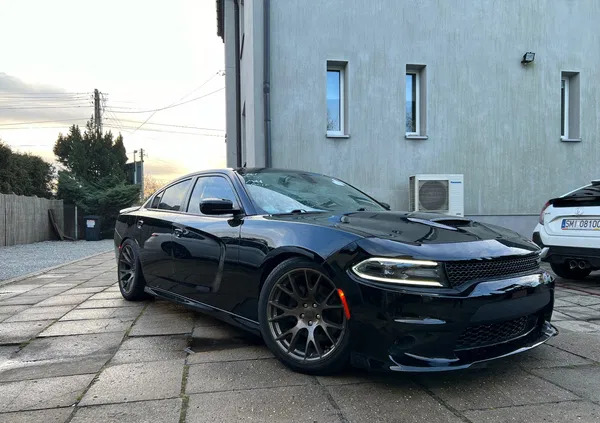 dodge śląskie Dodge Charger cena 98500 przebieg: 99500, rok produkcji 2019 z Orzesze